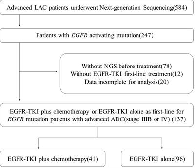 Efficacy of EGFR-TKI Plus Chemotherapy or Monotherapy as First-Line Treatment for Advanced EGFR-Mutant Lung Adenocarcinoma Patients With Co-Mutations